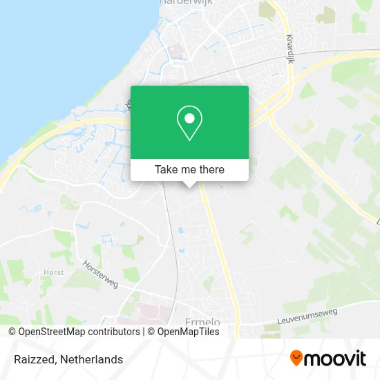 Raizzed map