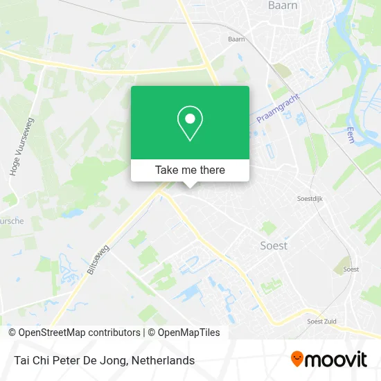 Tai Chi Peter De Jong map
