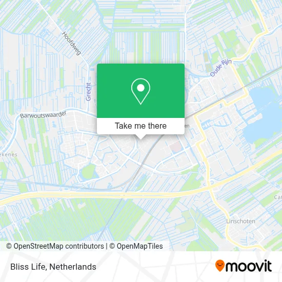 Bliss Life map