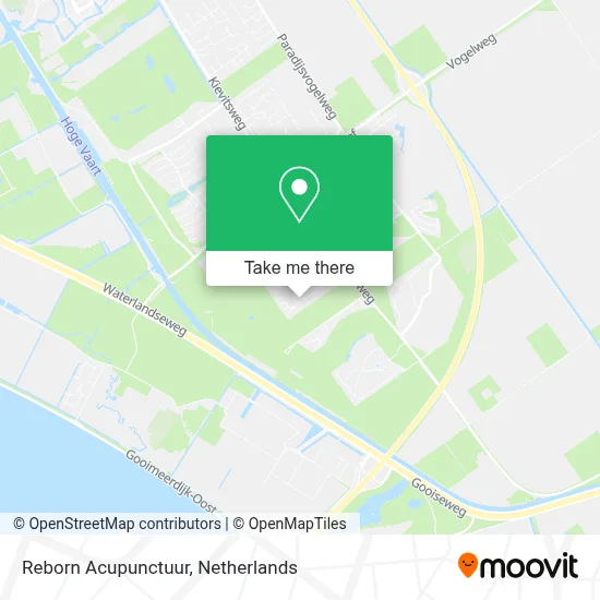 Reborn Acupunctuur map