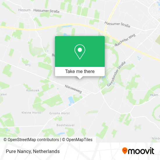 Pure Nancy map
