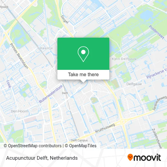 Acupunctuur Delft Karte