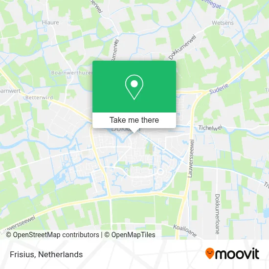 Frisius map