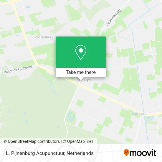 L. Pijnenburg Acupunctuur map
