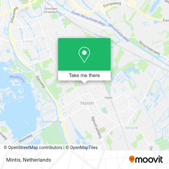 Mintis map