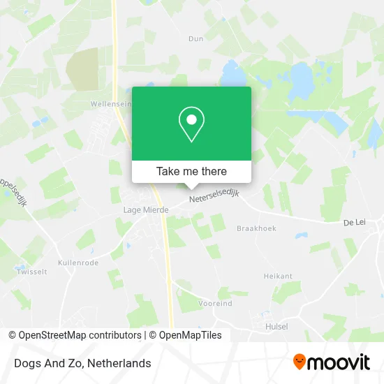 Dogs And Zo map