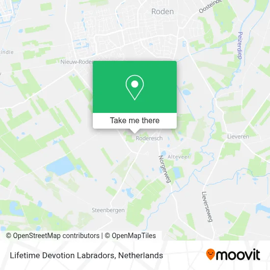 Lifetime Devotion Labradors Karte