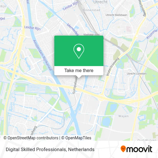 Digital Skilled Professionals map