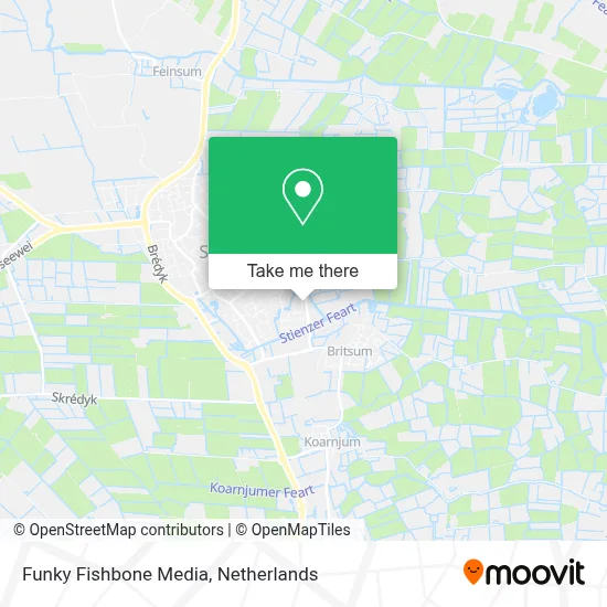 Funky Fishbone Media map