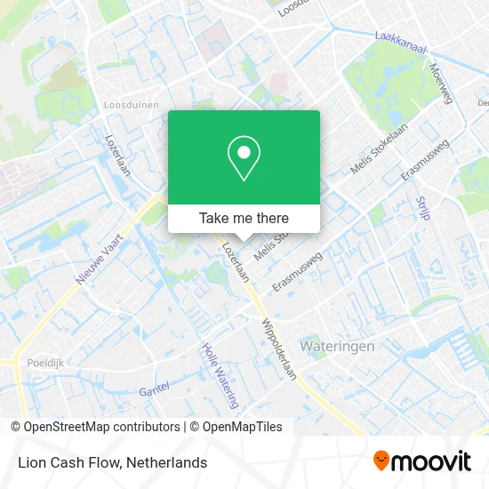Lion Cash Flow map