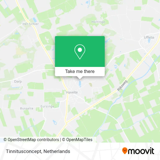Tinnitusconcept map