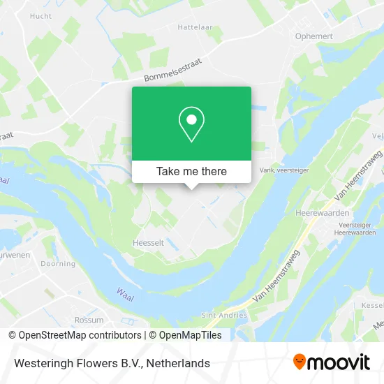 Westeringh Flowers B.V. map