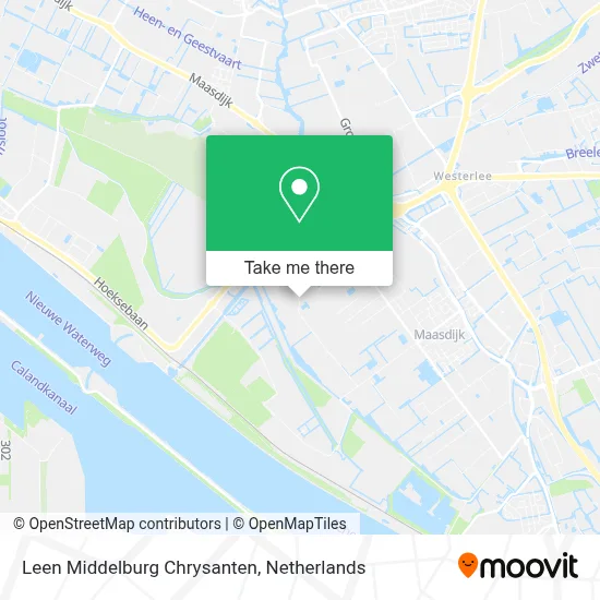 Leen Middelburg Chrysanten map