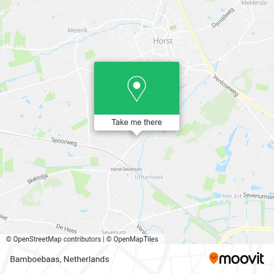 Bamboebaas map
