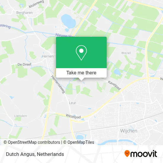 Dutch Angus map