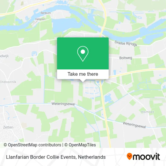 Llanfarian Border Collie Events map