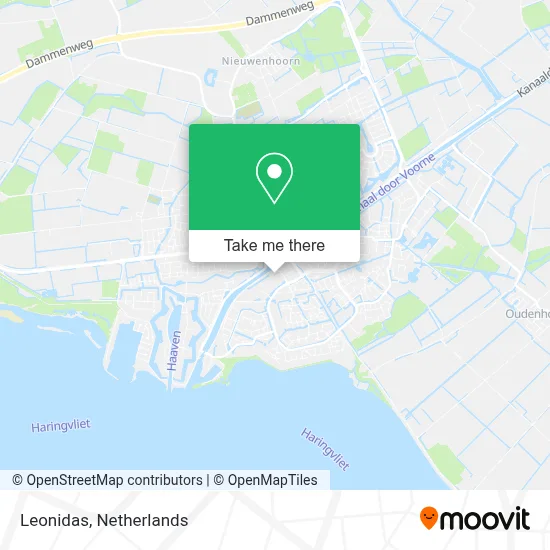 Leonidas map