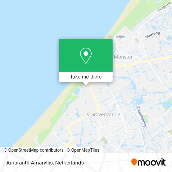 Amaranth Amaryllis map