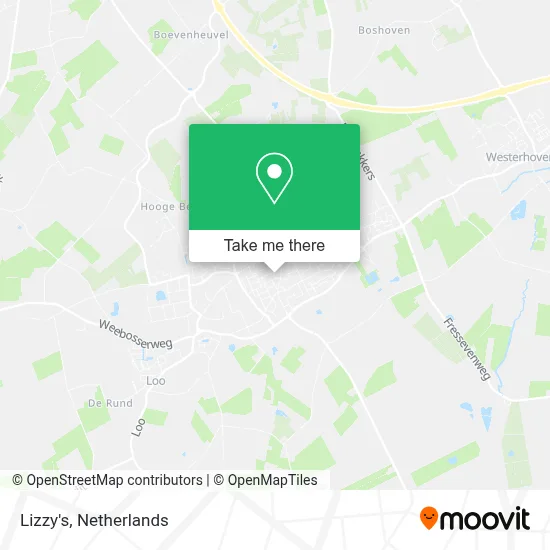 Lizzy's map