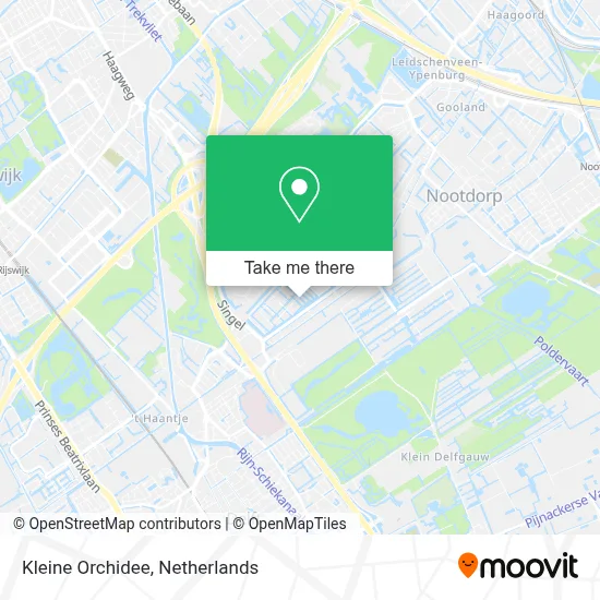 Kleine Orchidee map