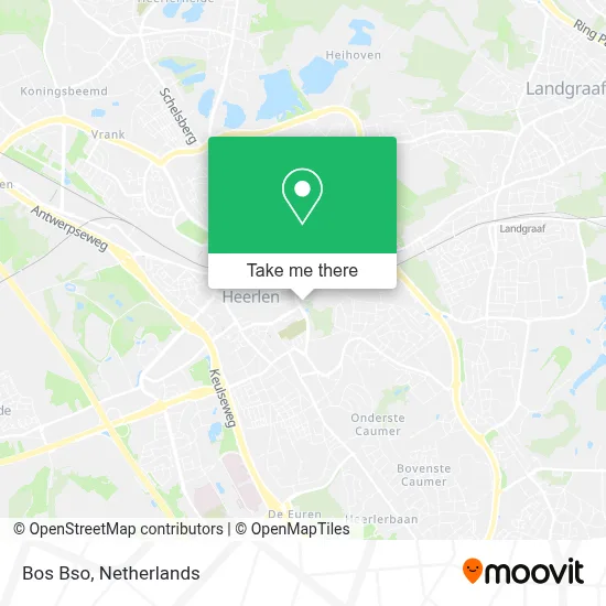 Bos Bso map