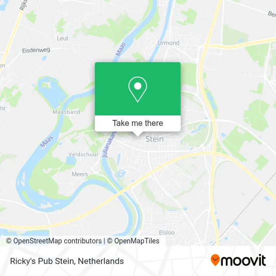 Ricky's Pub Stein map