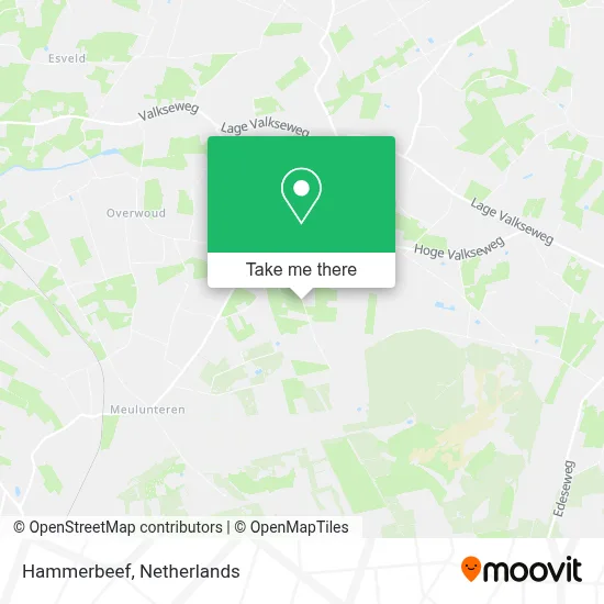 Hammerbeef map