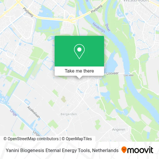 Yanini Biogenesis Eternal Energy Tools map