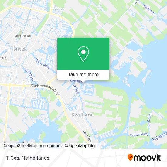 T Ges map
