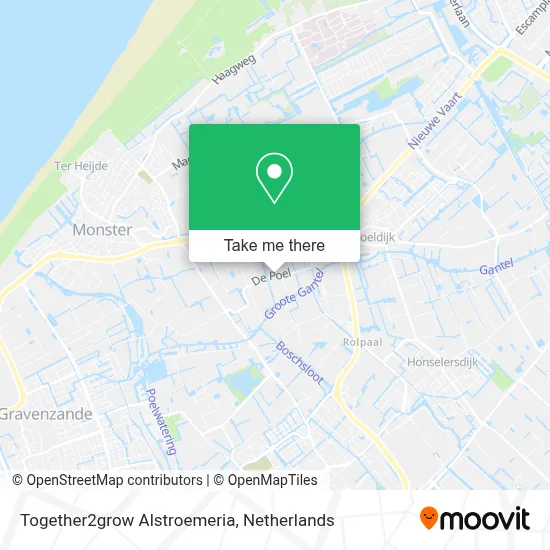 Together2grow Alstroemeria map