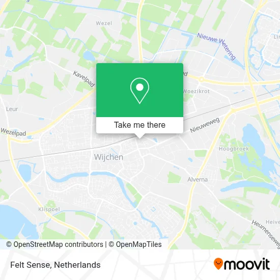 Felt Sense map
