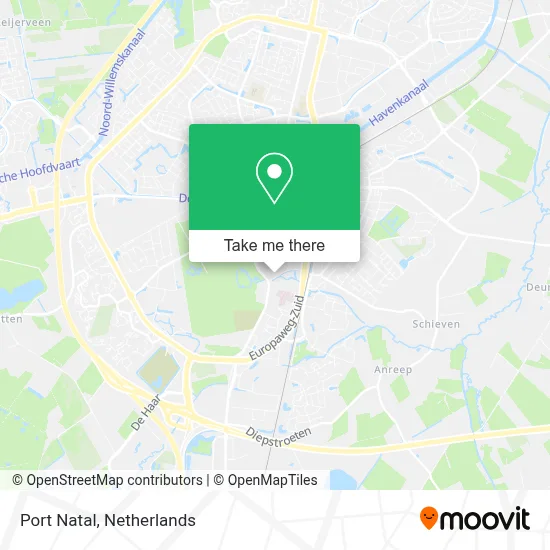 Port Natal map