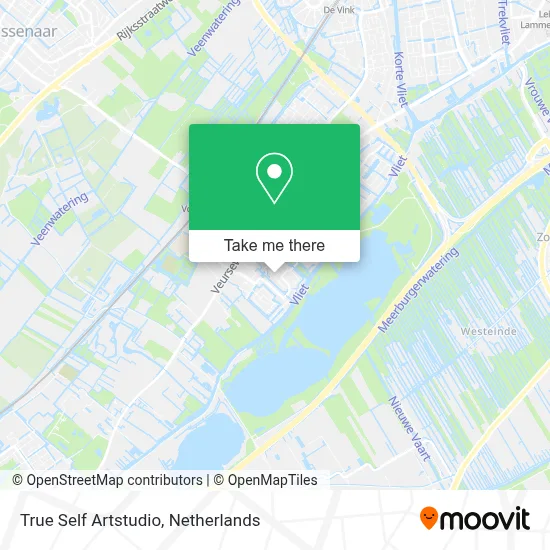True Self Artstudio map