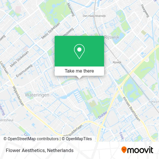 Flower Aesthetics map