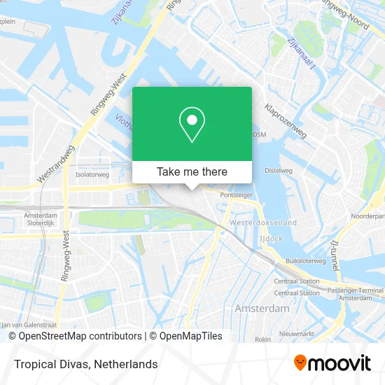 Tropical Divas map
