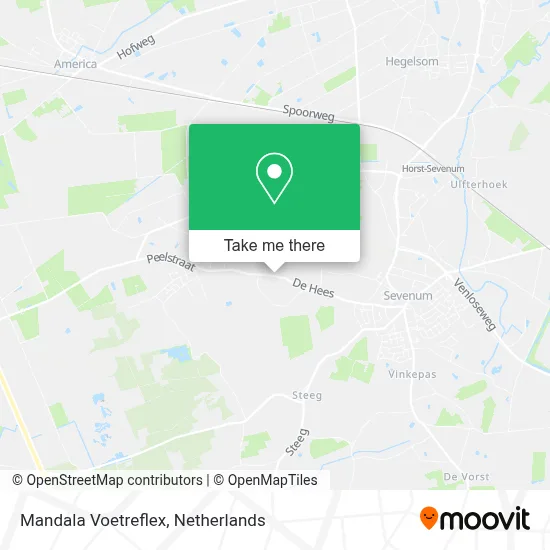 Mandala Voetreflex map