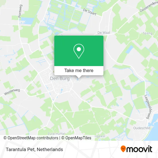 Tarantula Pet map