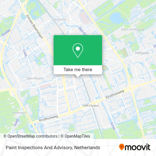 Paint Inspections And Advisory map
