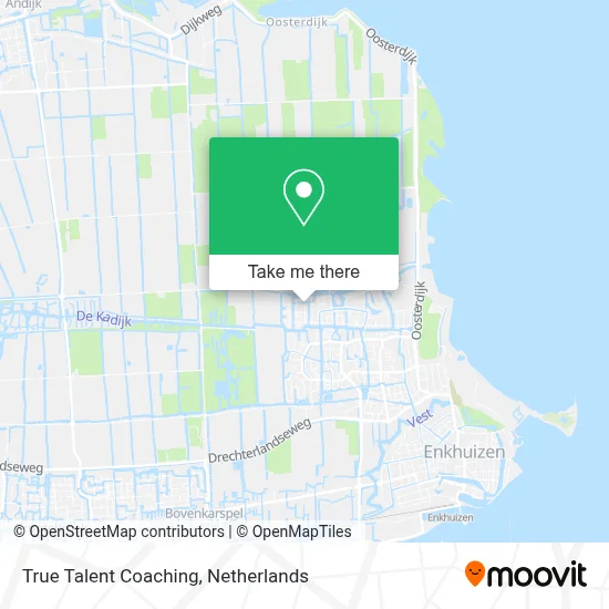 True Talent Coaching map