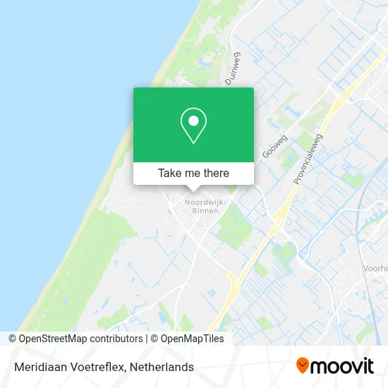 Meridiaan Voetreflex map