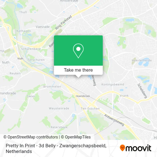 Pretty In Print - 3d Belly - Zwangerschapsbeeld map