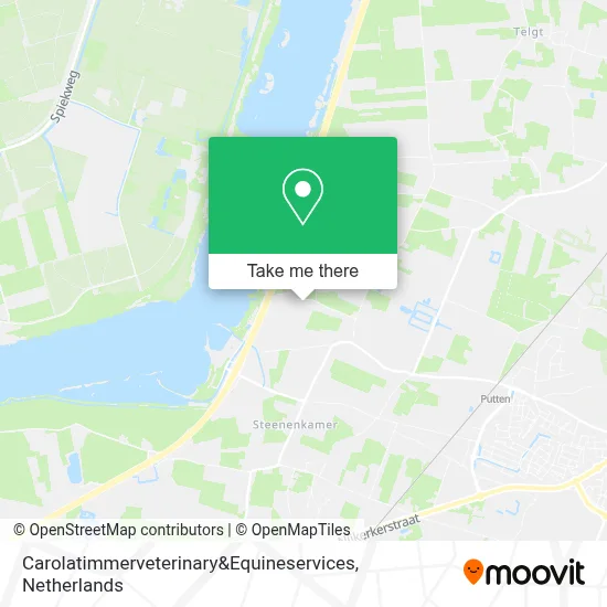 Carolatimmerveterinary&Equineservices map