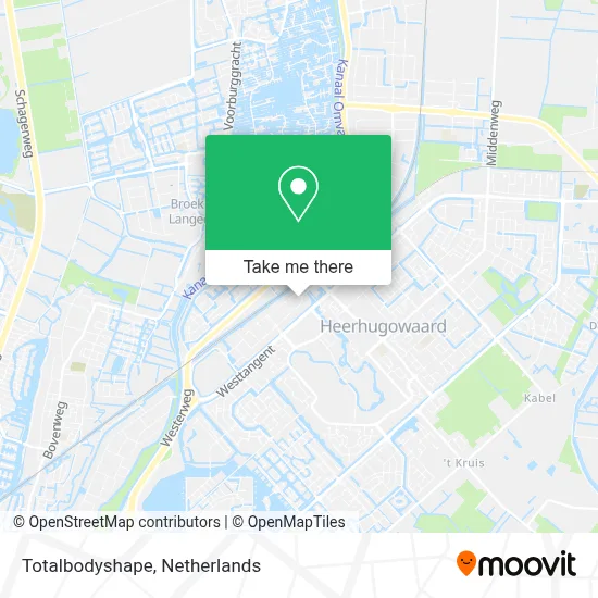 Totalbodyshape map