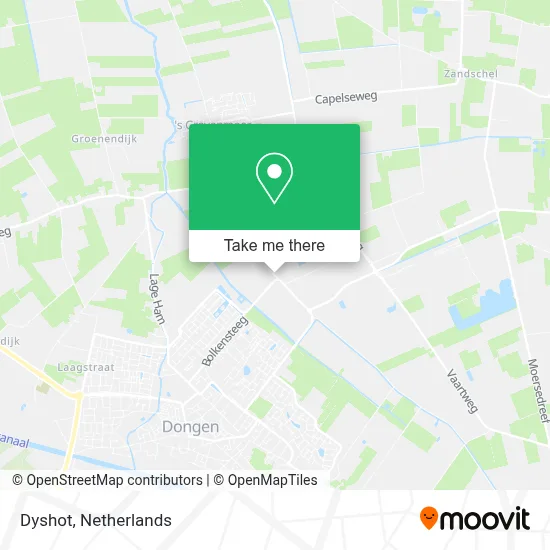 Dyshot map
