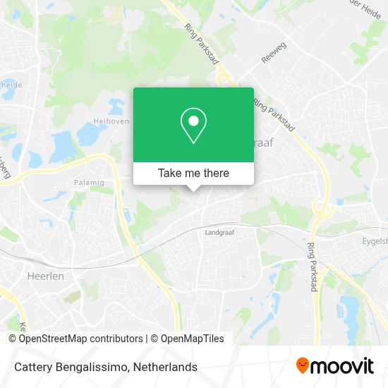 Cattery Bengalissimo map