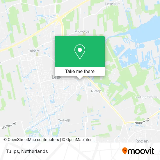 Tulips map