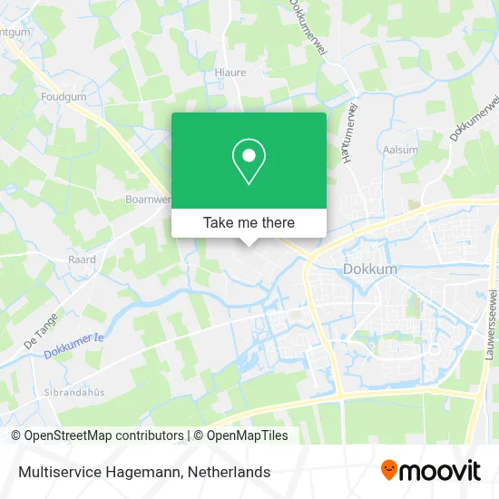 Multiservice Hagemann map