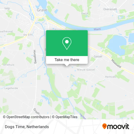 Dogs Time map