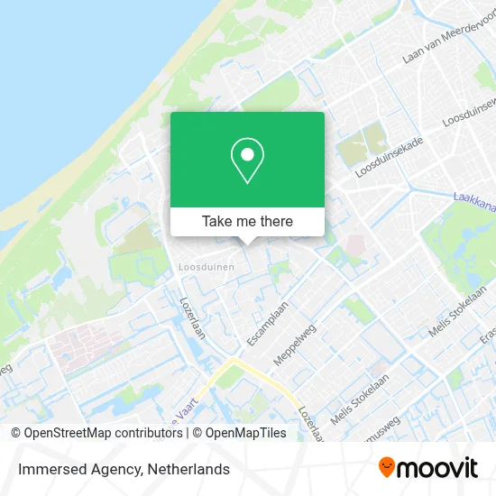 Immersed Agency map