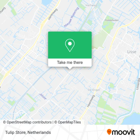 Tulip Store map